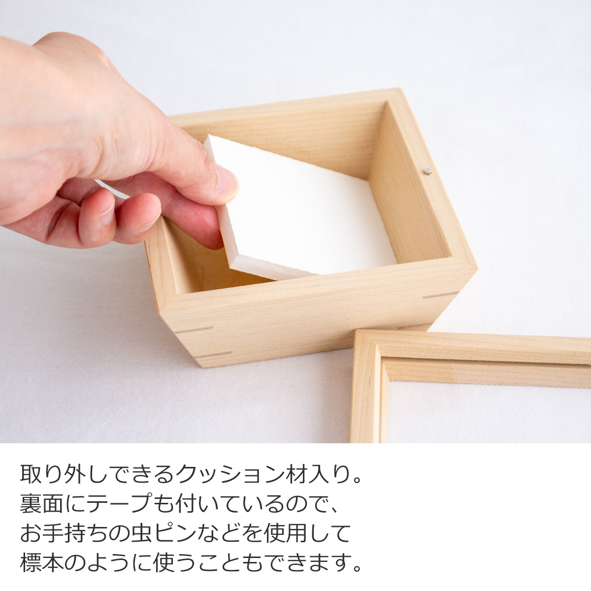 コレクションボックス 木製 S わにもっこ コレクションケース アクリル