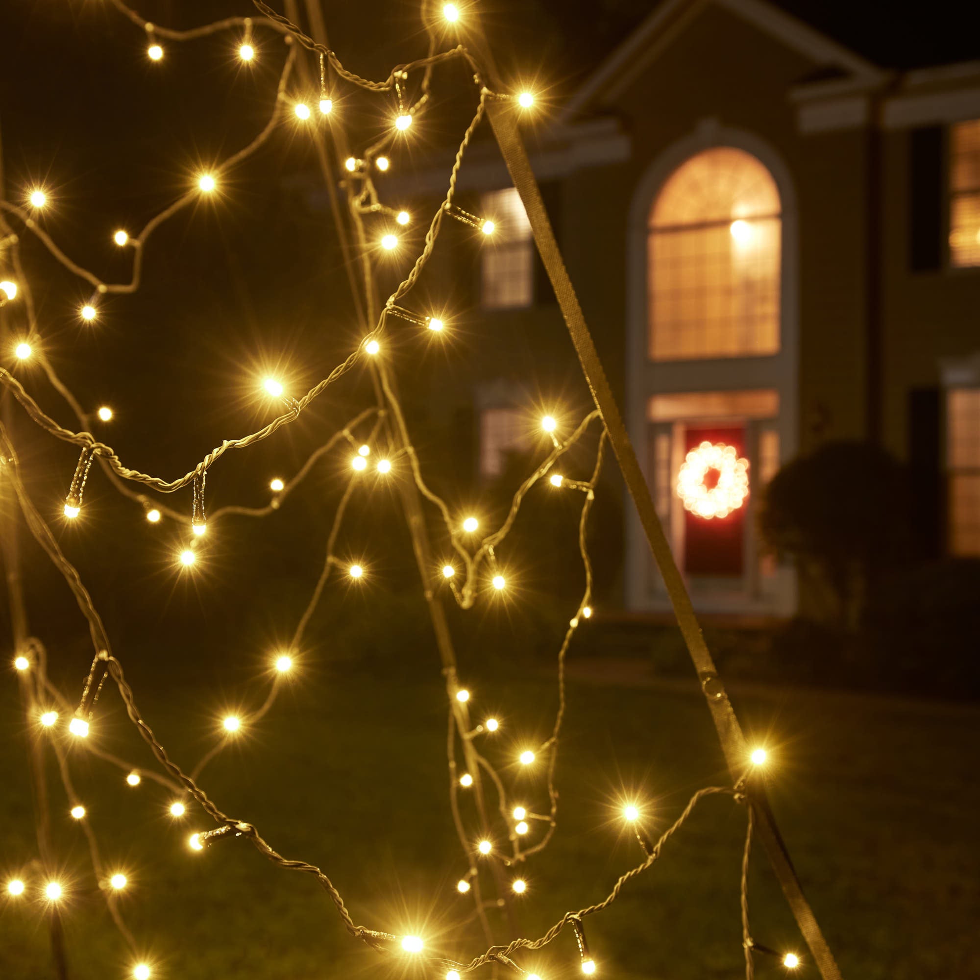 Fairybell Luminous Switch | 33ft | 8000 LED lights – Fairybell US