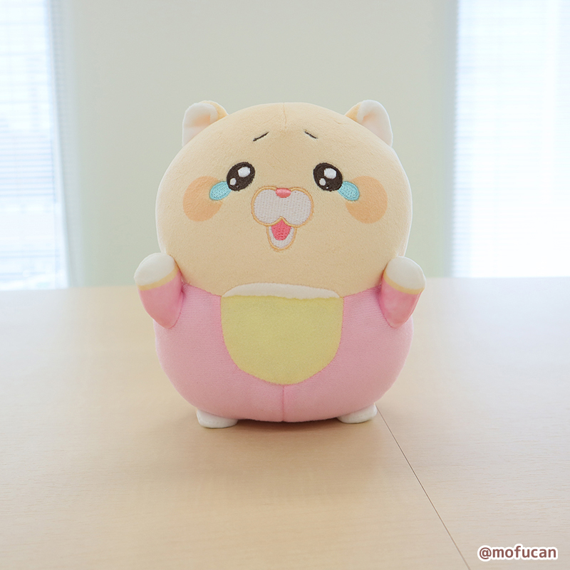 SNSで大人気！「モフ缶」の「泣きむし猫のキィちゃん」がましゅもっち