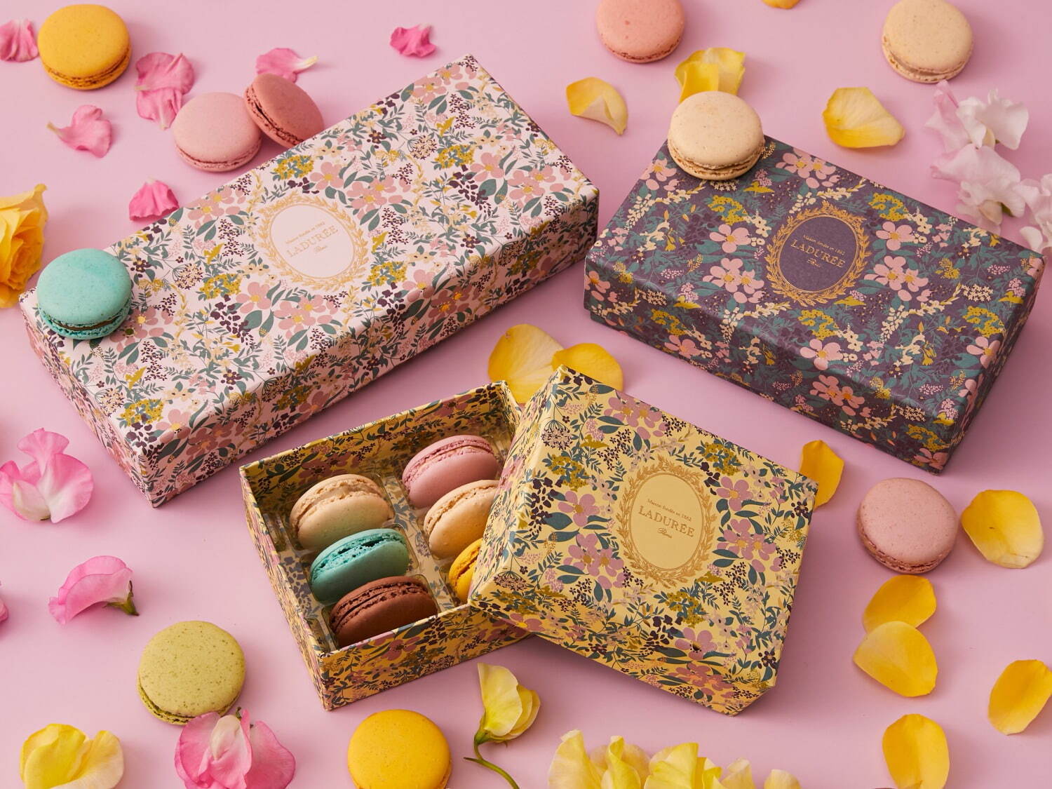 ラデュレのホワイトデー限定マカロンボックス、鮮やかな小花が咲く