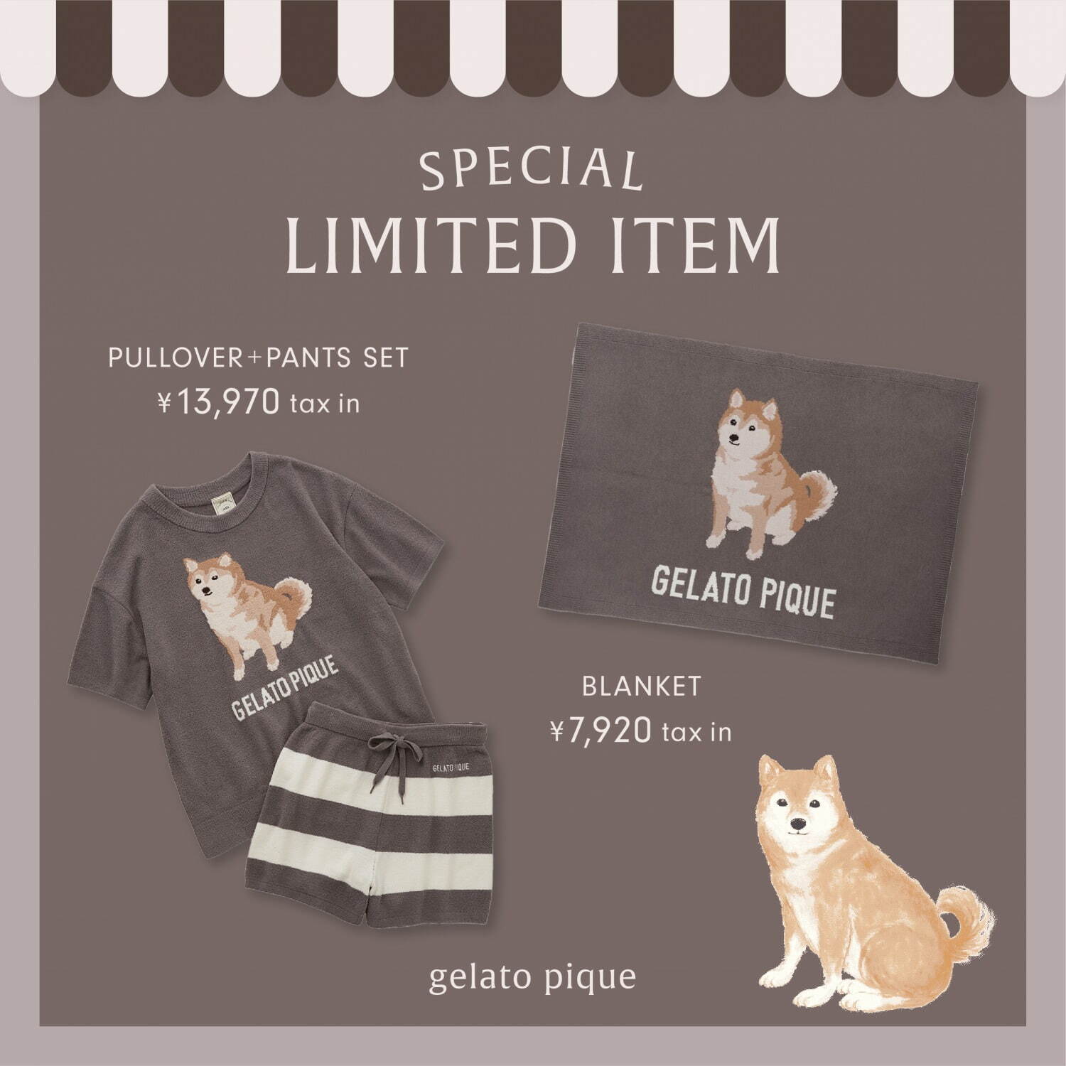 写真8/13｜ジェラート ピケ「柴犬」モチーフのルームウェア
