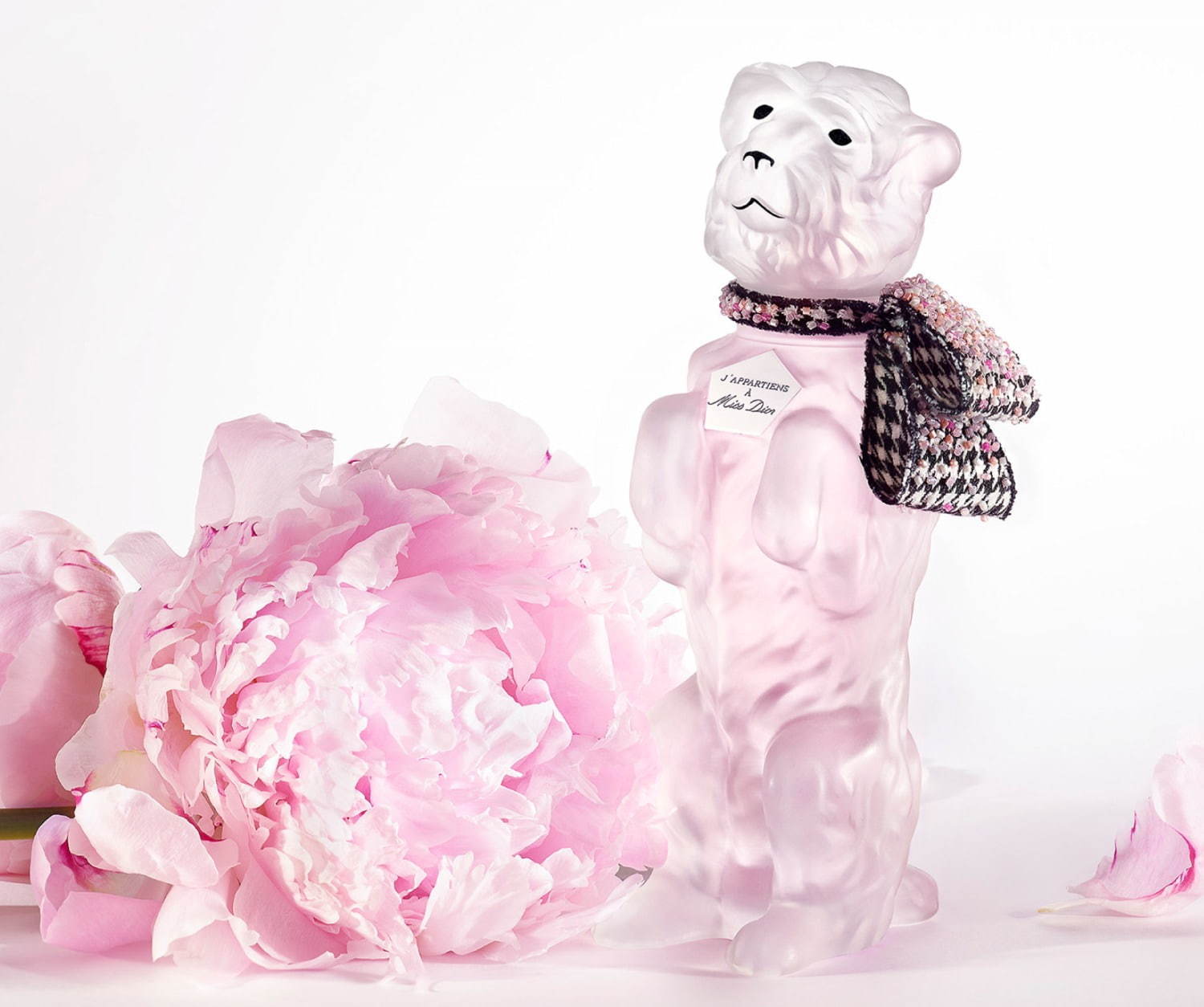 ディオール、ムッシュ ディオールの愛犬“ボビー”モチーフの限定