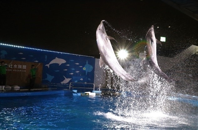 仙台うみの杜水族館のナイトアクアリウムシアター「シートピア」夜の