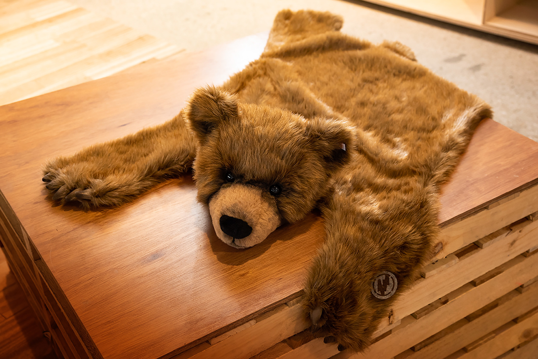 シュタイフが藤原ヒロシのフラグメントとコラボ、ブラックカラーの