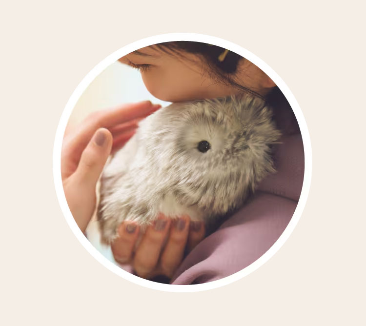 AIペット〈コミュニケーションロボット〉 こころであういきもの