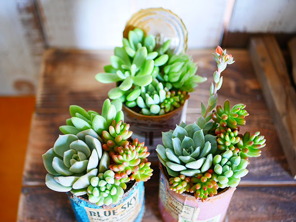 連載】リメイク缶を作ろう！その3【anさんのおうちと暮らしがもっと