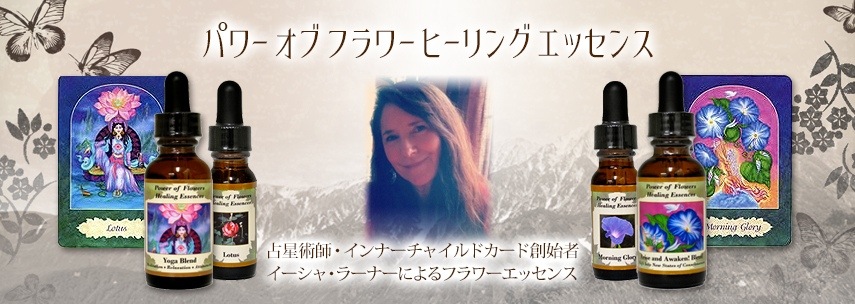 コスモス《パワーオブフラワーヒーリングエッセンス》15ml｜フラワー