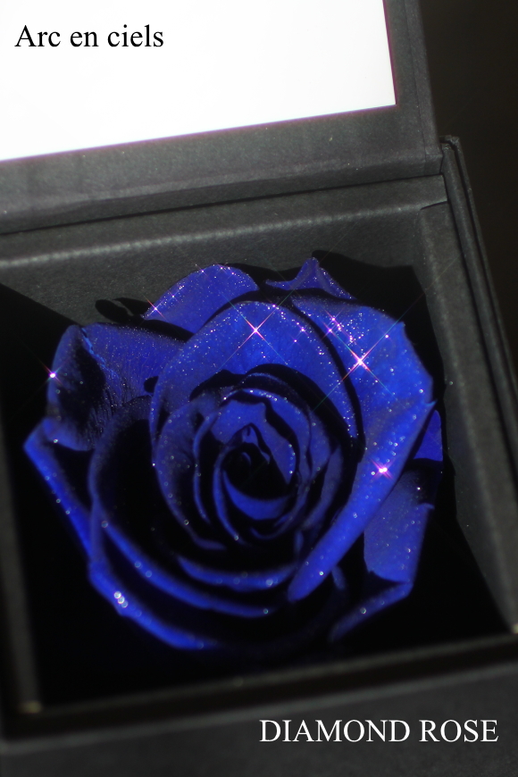 ダイアモンドローズ、青バラ、ブルーローズ 商品詳細｜レインボー