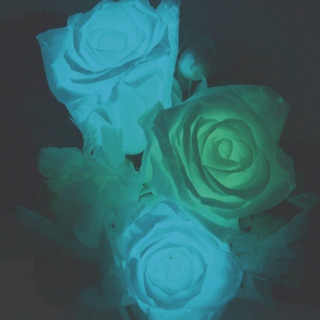 暗闇で光るプリザーブドフラワー お誕生日プレゼント・結婚記念日 商品