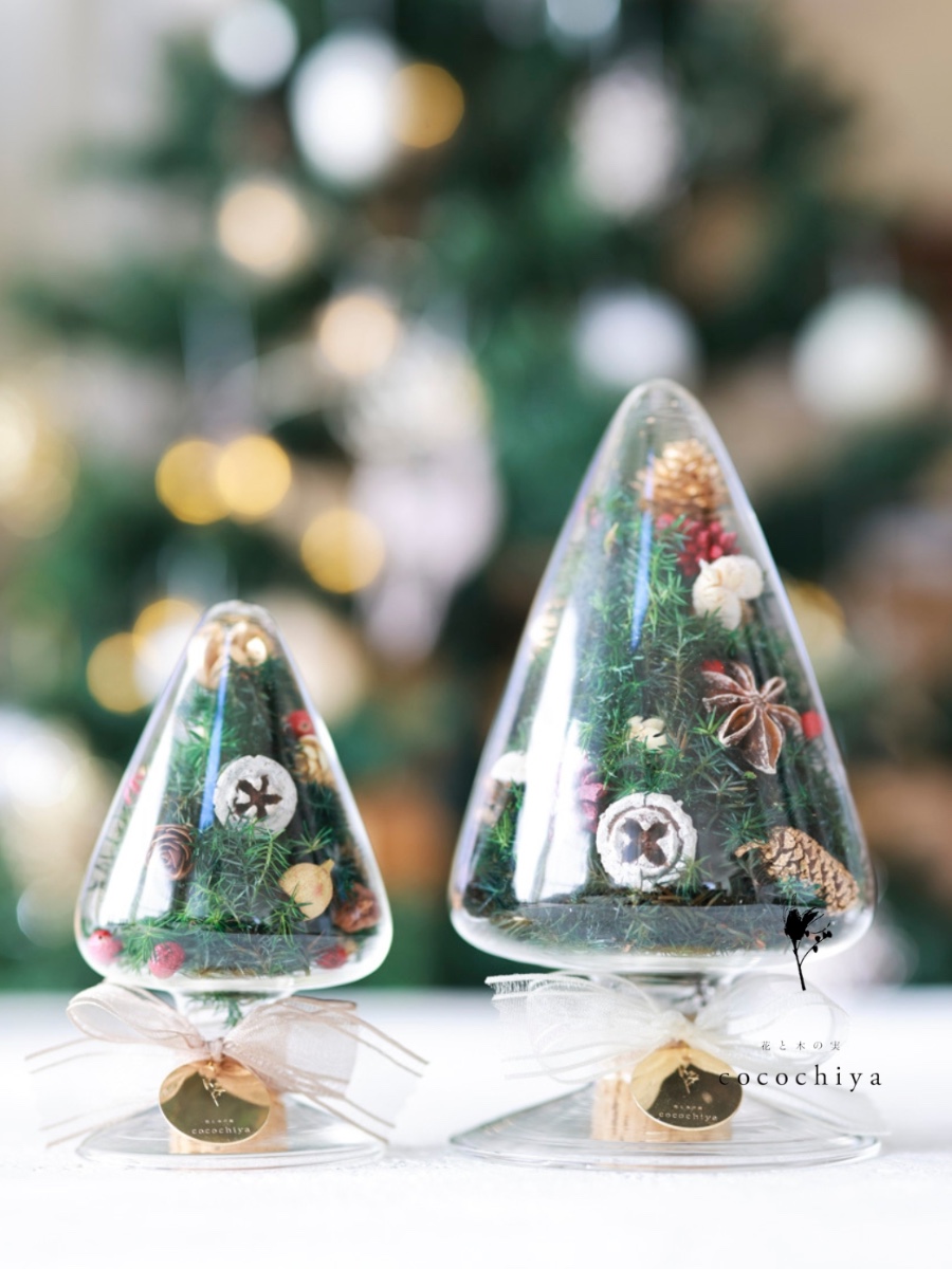 グラスクリスマスツリー｜Fla-co（フラコ） - フラワーアレンジ作品