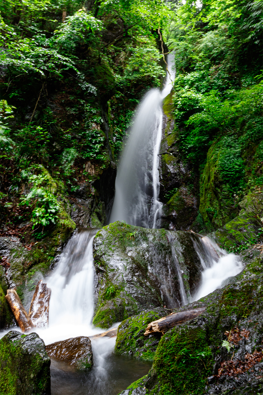 Vol.12 過去の未公開記事を公開！】都心から近い秩父多摩甲斐国立公園