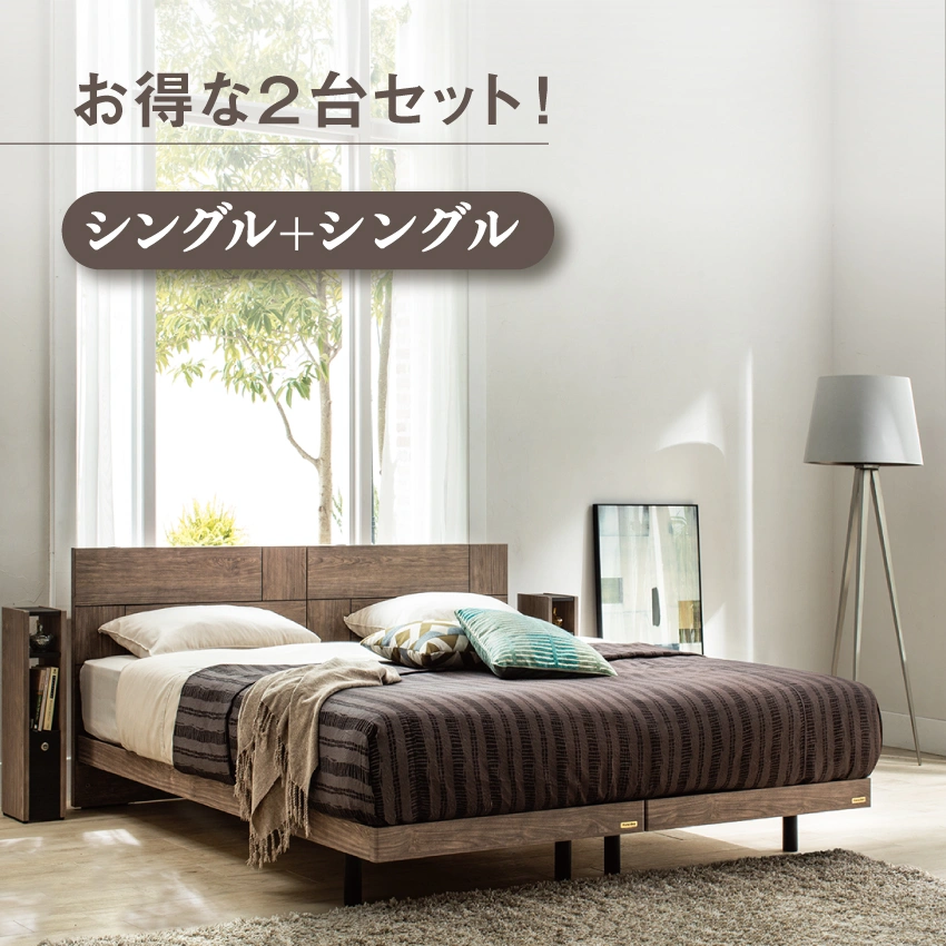 フランスベッド ツインベッドセット LT-101F レッグ TW-010α(シングル2