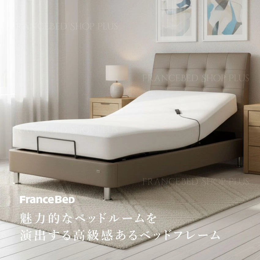 フランスベッド 電動ベッドフレーム IQベッド IQアシュフォードRX