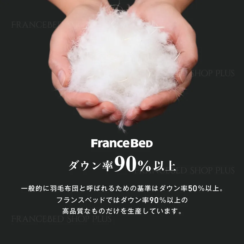 フランスベッド 羽毛ふとん グース CS-02 【公式通販】