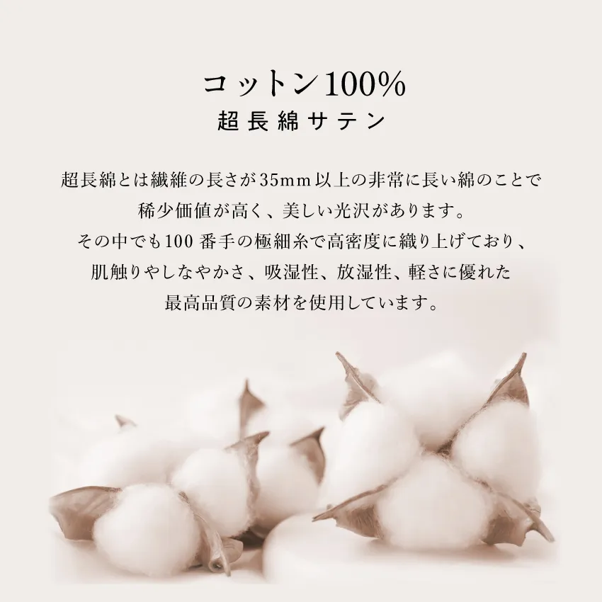 スランバーランド SL-100 マットレスカバー 40 フランスベッド