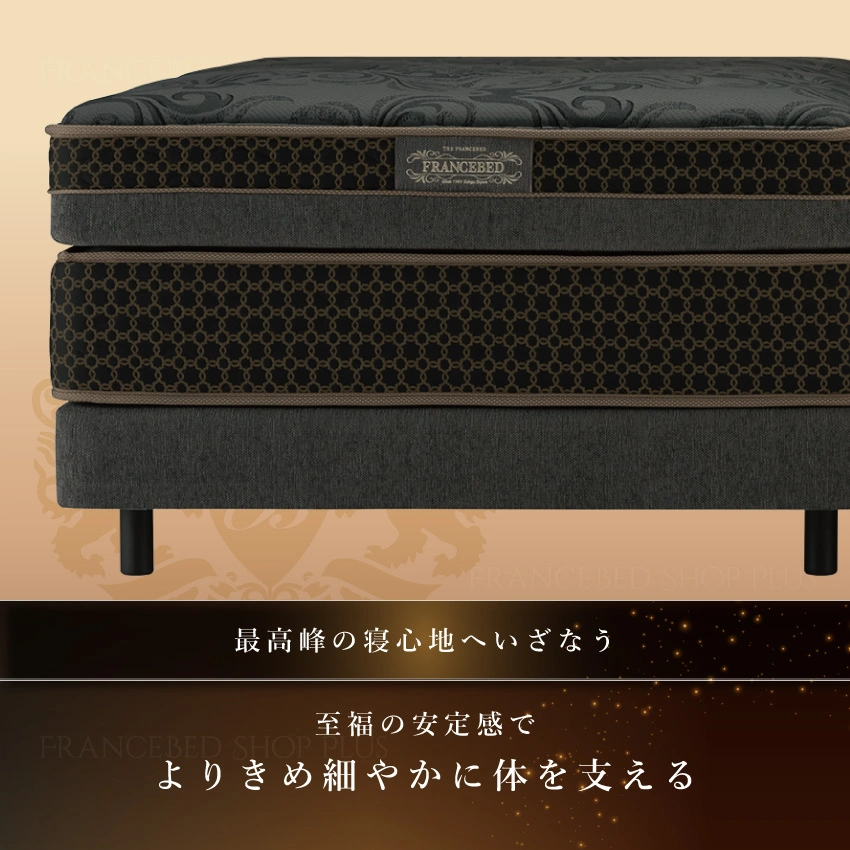 ザフランスベッド TD-Terreテーレマットレス&ボトムセット｜【公式通販