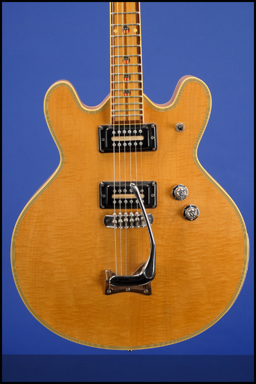 Guitars | Fretted Americana Inc.