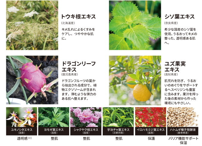 FTCナチュラル UVボディスティックX（TEN) | FTCオンラインショップ