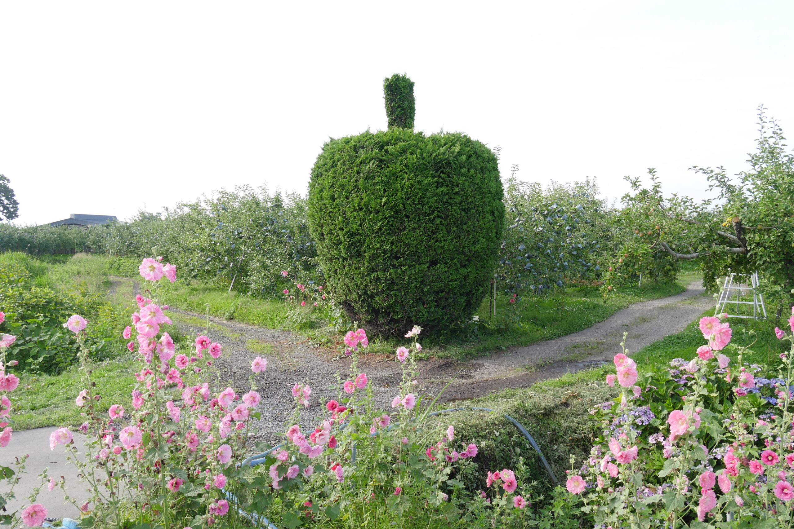藤崎町「ふじさき地域デザインLABO」 | プロジェクト事例 | 株式会社