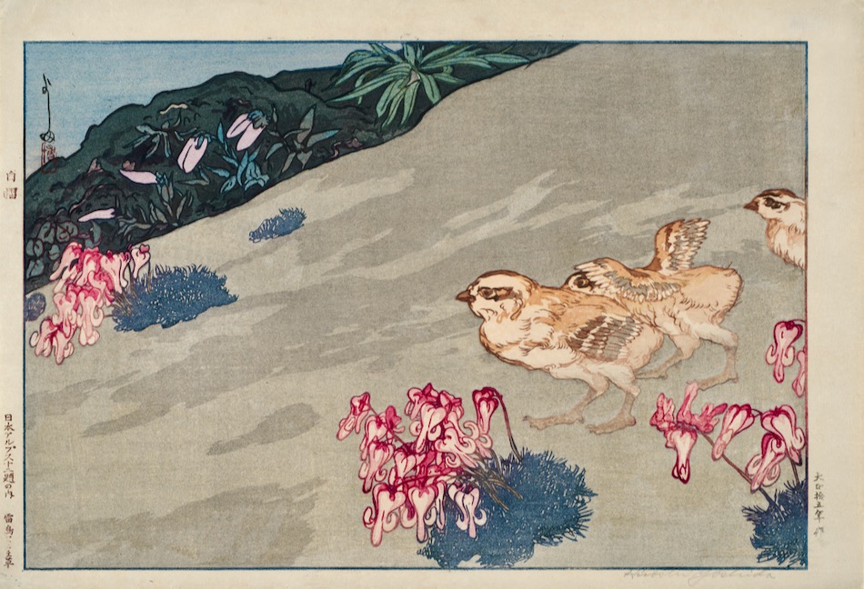 雷鳥とこま草（「日本アルプス十二題」より） | 吉田博 | 収蔵品詳細