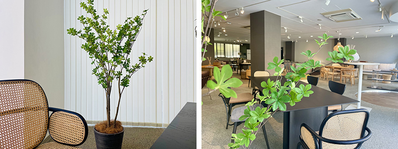 FIS special exhibition OSAKA『 キムラ』コラボイベント【＋Report