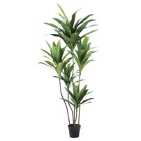 観葉植物/造花/ドラセナ / WD-13