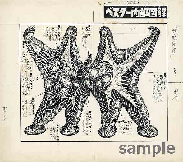 ウルトラマン トレジャーズ』 販売ページ | 復刊ドットコム