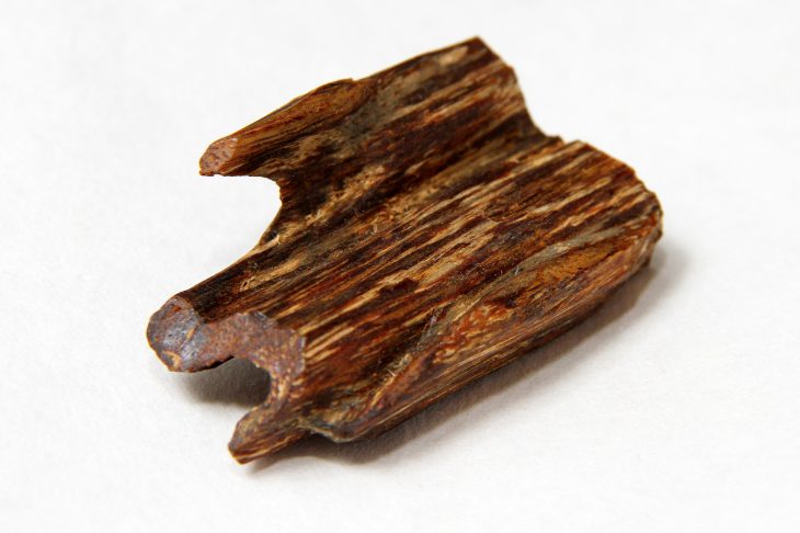 香木とは】伽羅・沈香・白檀の3大香木の違いと価値、専門家が教える