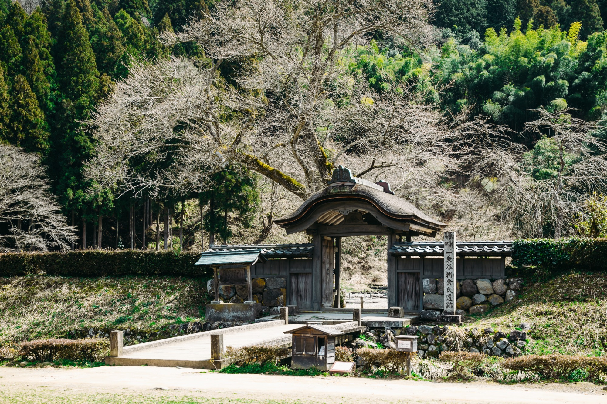 日本のポンペイ！一乗谷朝倉氏遺跡で戦国時代へタイムスリップ！｜特集