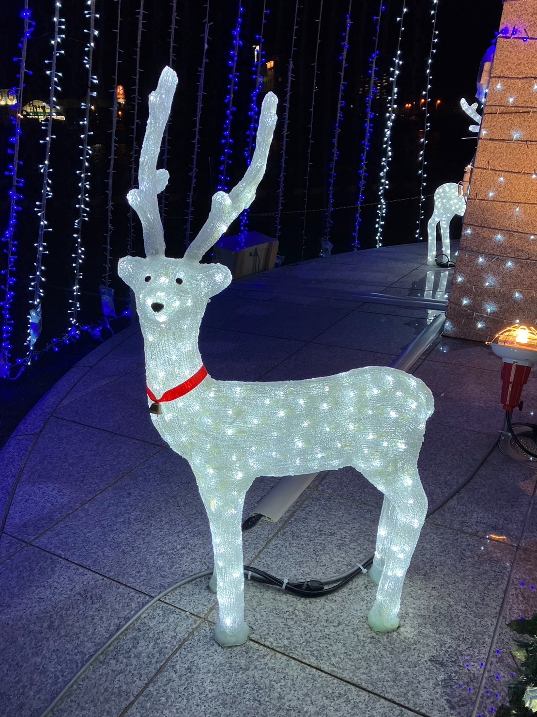 イルミネーション✨✨