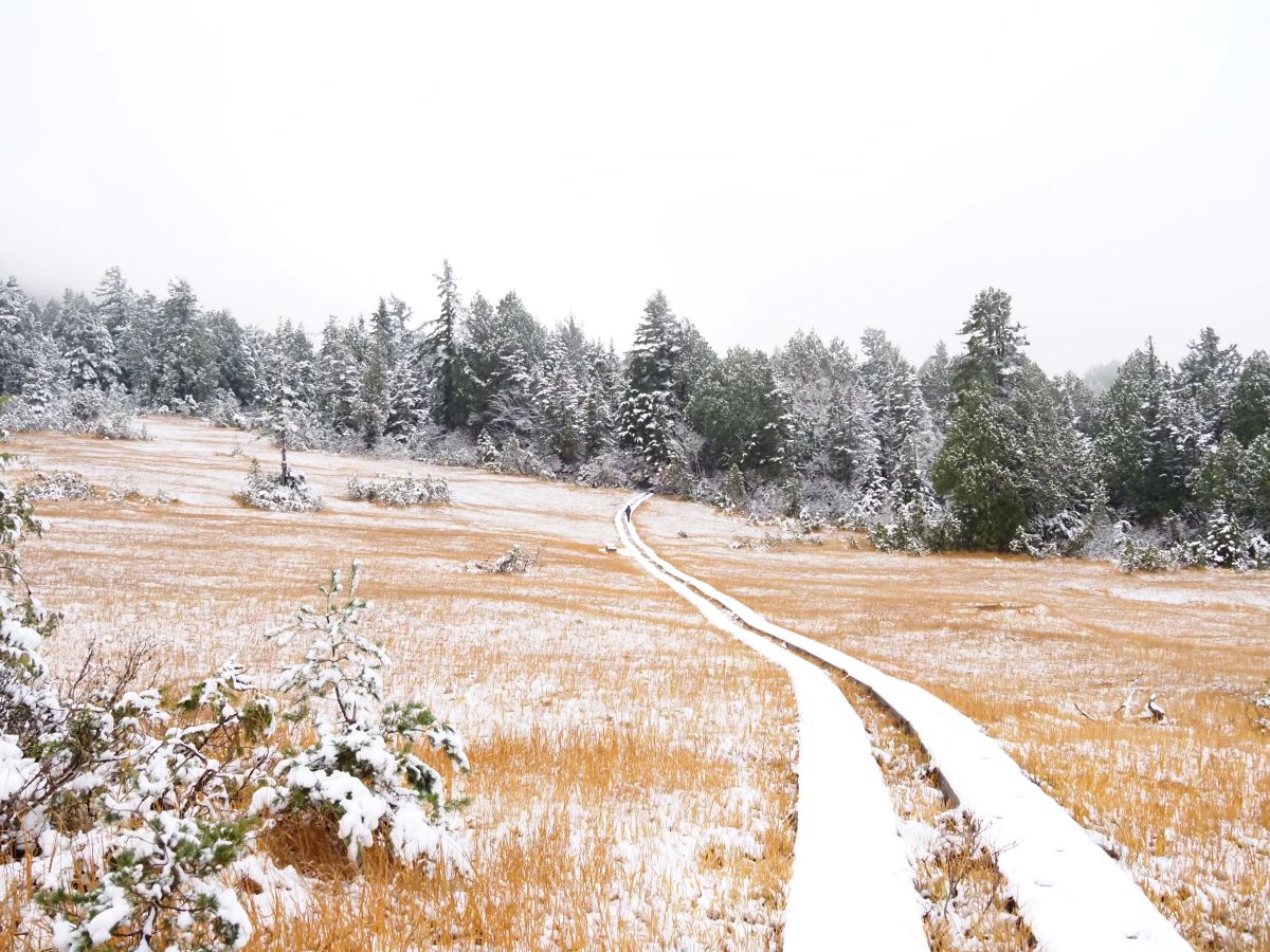 雪の降り始めた尾瀬へ｜まだ知らない尾瀬ストーリー#14 | ランドネ