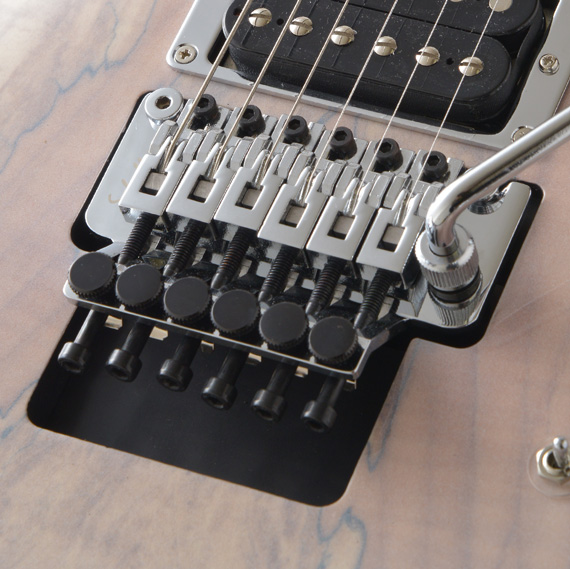 G-Life Guitars / DSG Life-Spalted / Snow White