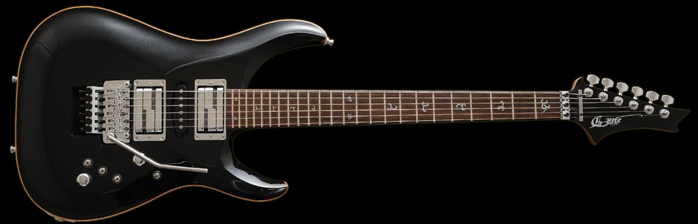 G-Life Guitars / DSG Life-Alder Limited Sparkling Black Flake