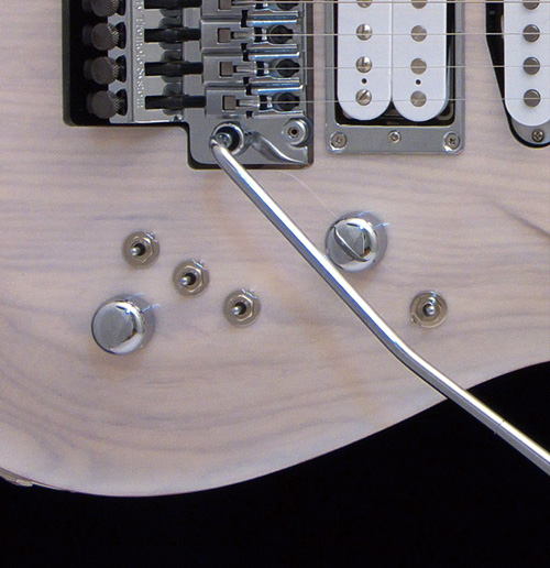 G-Life Guitars / DSG Standard Ash