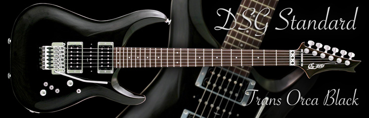 G-Life Guitars / DSG Standard Ash