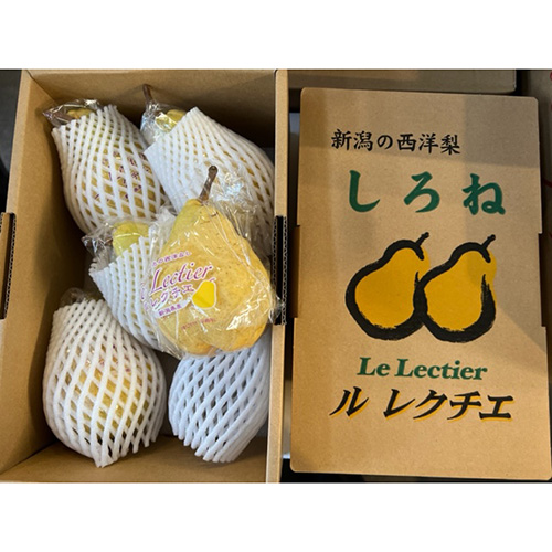 新潟産ルレクチェ 西洋梨 | G-Callショッピング
