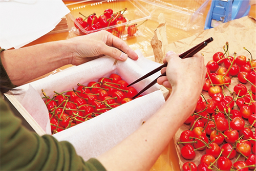 多田農園 特選 サミット（桐箱） くだもの | G-Callショッピング