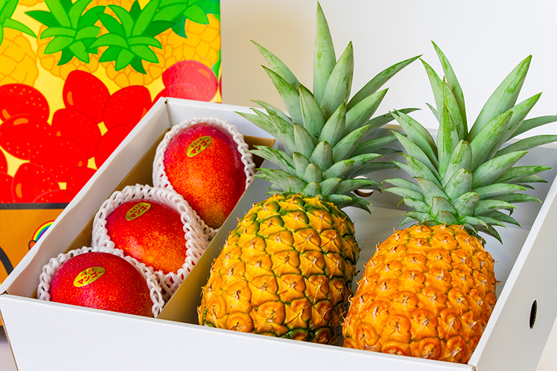沖縄 西表島 パイナップル マンゴーセット アララガマ農園 無農薬 国産