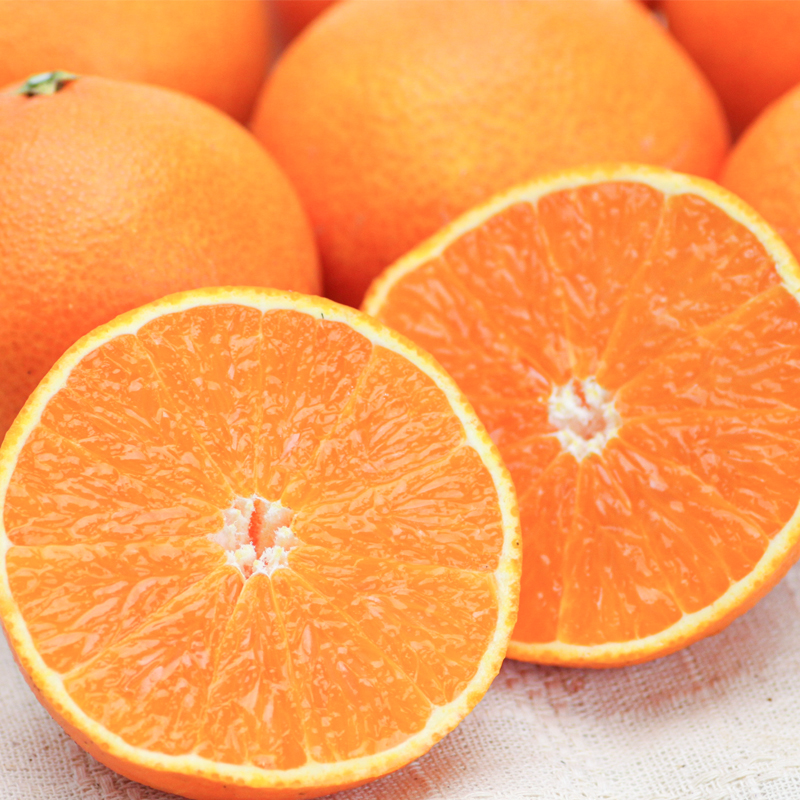 ゴールドクイーン 福岡産 天草 柑橘の女王 | G-Callショッピング