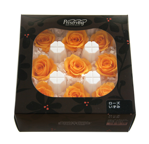 大地農園（ローズ） | プリザーブドフラワーKnext