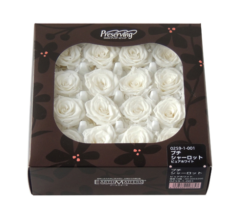 大地農園（ローズ） | プリザーブドフラワーKnext