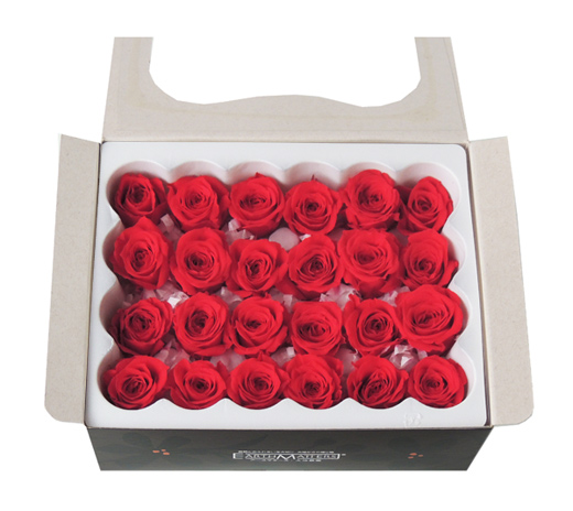 大地農園・ビビアン・レッド24輪 | プリザーブドフラワーKnext