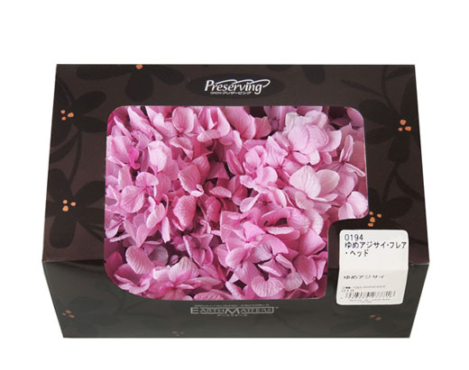 大地農園・ピラミッドアジサイ・ブルーパープル | プリザーブド