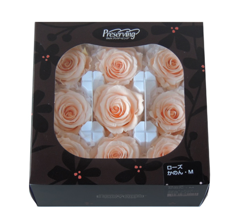 アウトレット・大地農園・ローズ9輪【かのんM】 | プリザーブド