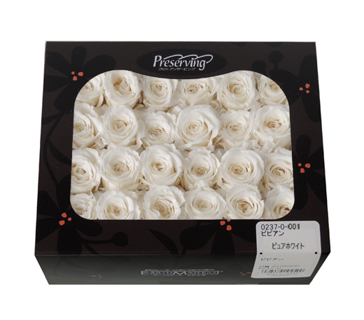 アウトレット・大地農園・ローズ24輪【ビビアン】 | プリザーブド