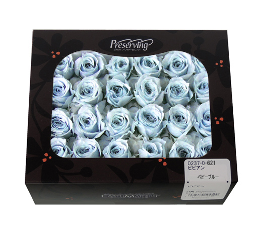 大地農園・ビビアン・クリスタルピンク24輪・アウトレット