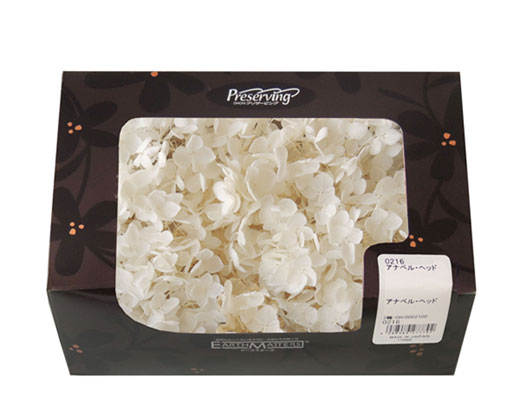 アウトレット・大地農園・あじさい | プリザーブドフラワーKnext