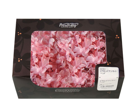 大地農園・ゆめアジサイ・ピンク・アウトレット | プリザーブド