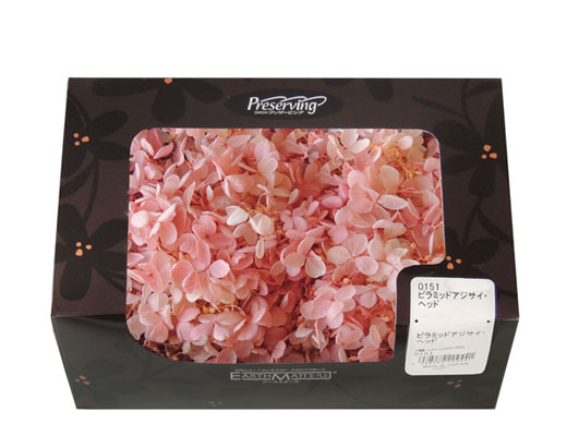 アウトレット・大地農園・あじさい | プリザーブドフラワーKnext