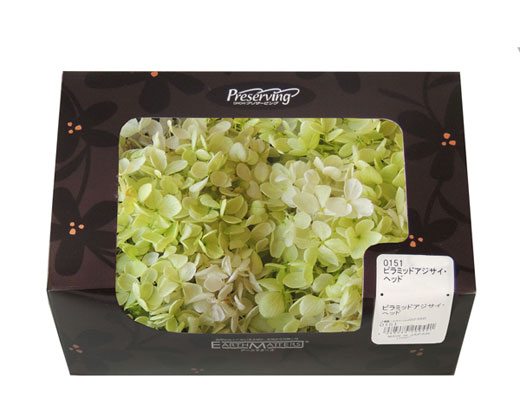 アウトレット・大地農園・あじさい | プリザーブドフラワーKnext